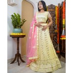 Dazzler Lehenga with Canvas Set